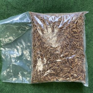 Bird Food – Freeze Dried Mealworms 500g