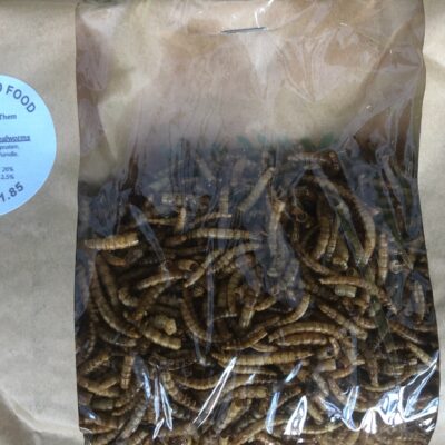 Bird Food – Freeze Dried Mealworms