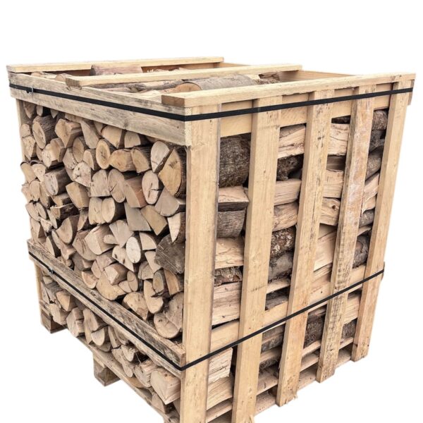 Medium Plus Crate Kiln dried Ash logs